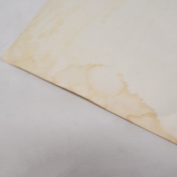 Vintage UF Florida Gators Window Clings Albert College Fan 1980s Car Camper Home - Picture 7 of 12